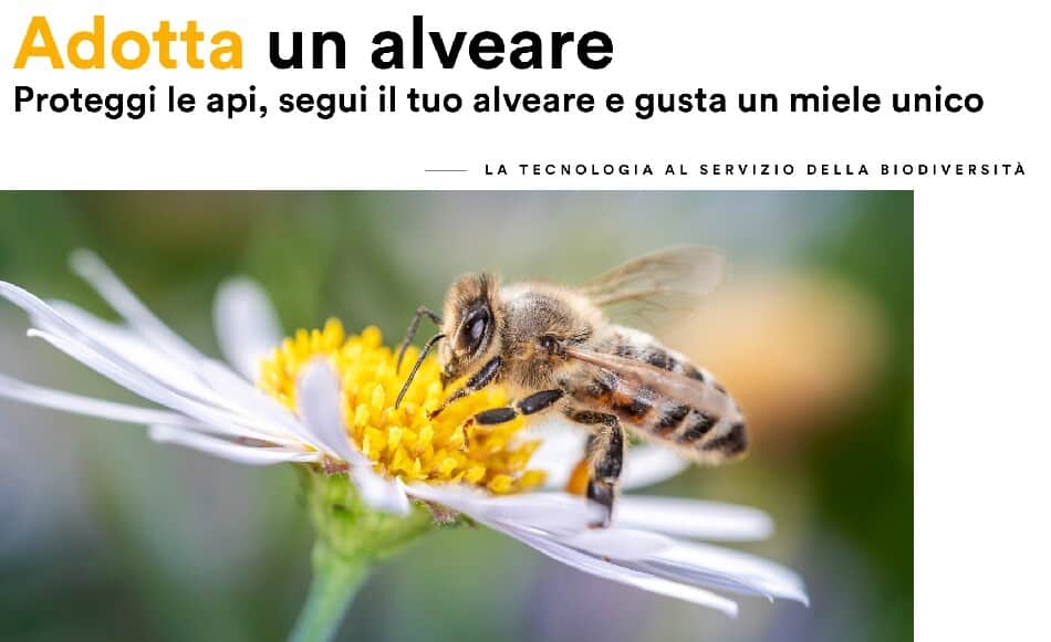 3Bee adotta un alveare
