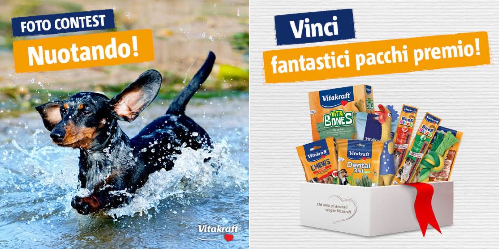 Come partecipare al Foto Contest Vitakraft