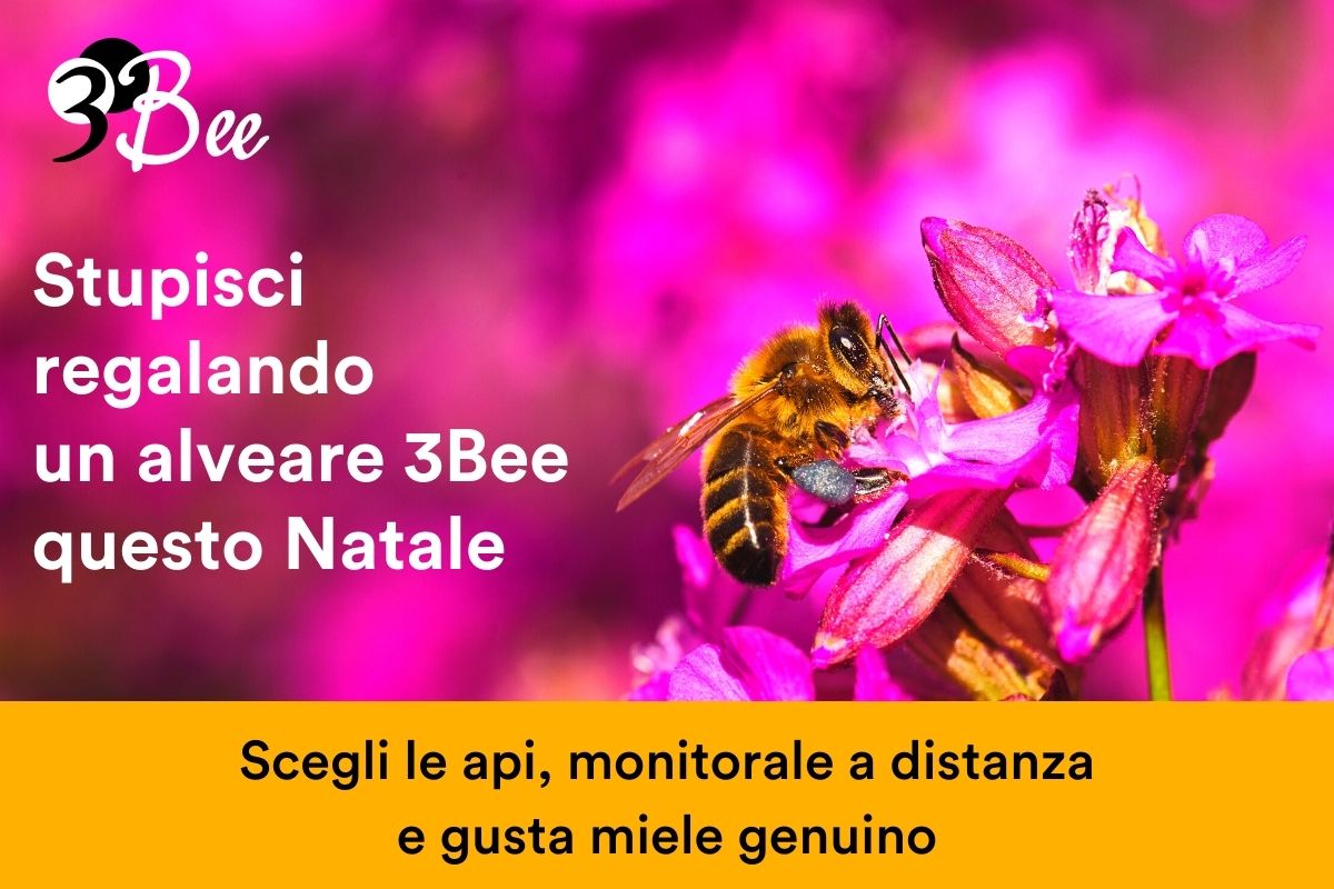 Come regalare un alverare 3Bee