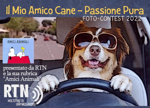 Foto Contest 2022 - Il Mio Amico Cane - Passione Pura