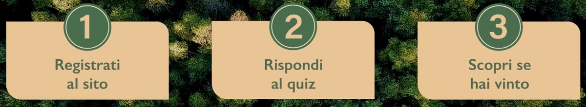 Come funziona