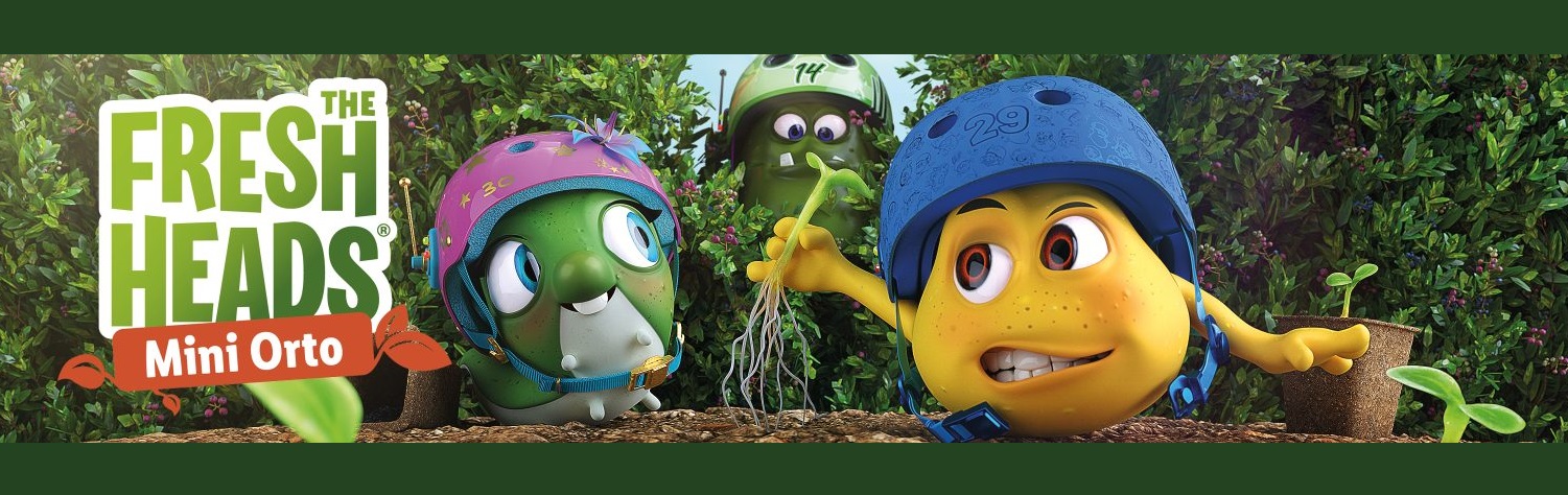 Fresh Heads Lidl
