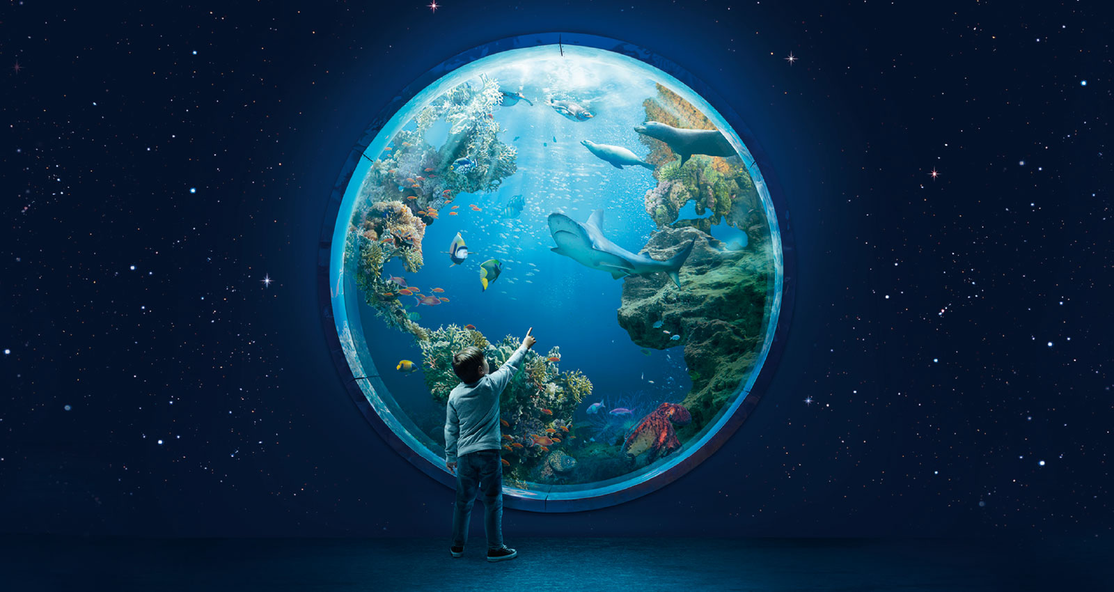 Acquario di Genova Concorso 2023