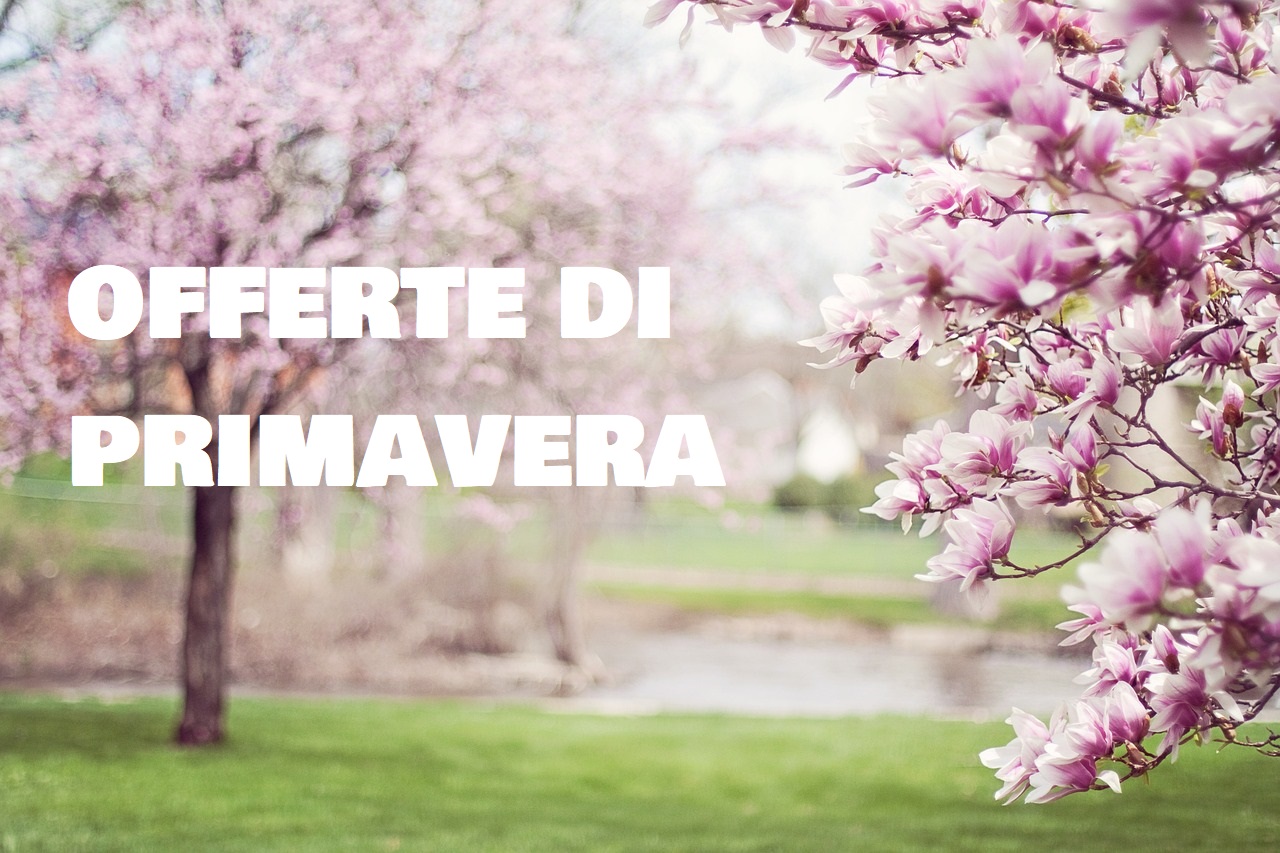 Offerte di primavera 2023