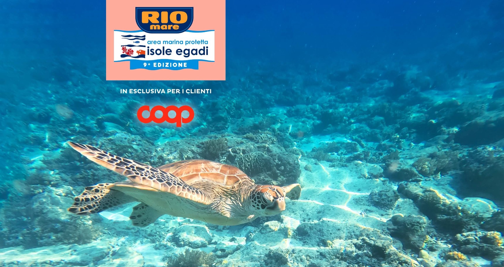 Concorso Rio Mare per le isole Egadi