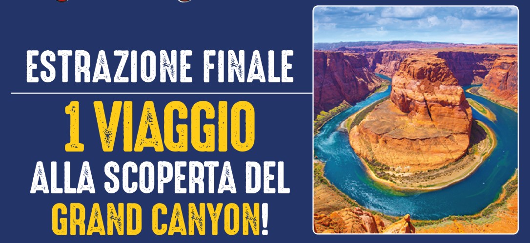 Premi in palio concorso Morato 2023